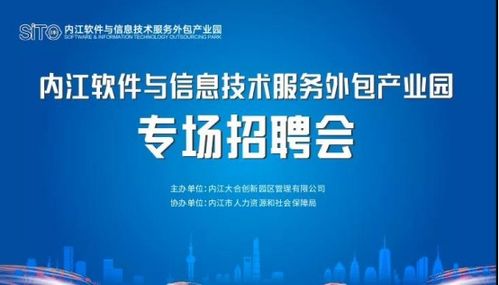 首场 内江软件与信息技术服务外包产业园线下专场招聘会燃爆了