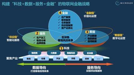 2019宁波供应链高峰论坛,微分格CEO易福华先生受邀发表主题演讲