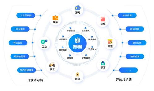 新一代区块链底层技术服务平台 海峡链 正式上线运营