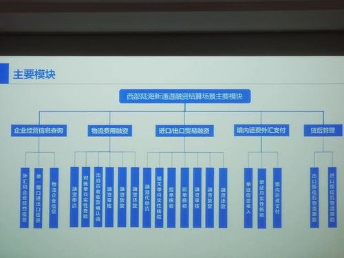 政银企共建区块链生态系统 陆海新通道金融服务平台启动