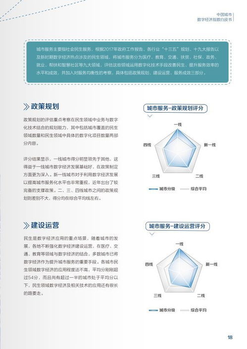 2018中国城市数字经济指数白皮书 