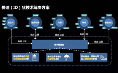 李玉福:区块链在ID猪上的应用