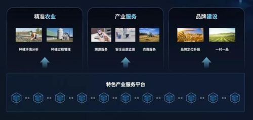 区块链技术赋能乡村振兴 趣链科技推出数字乡村区块链基础平台