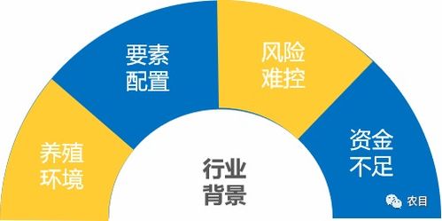 畜牧业养殖产业链大数据平台 共享养殖新模式,共荣鲁南经济圈