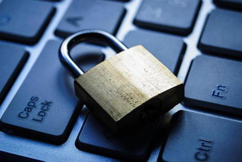 区块链数字货币投资第一步 选择与使用数字钱包的全面指南